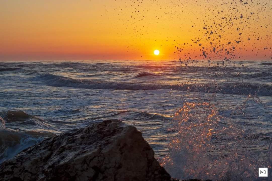 Готель La Olteanu Ваду Екстер'єр фото